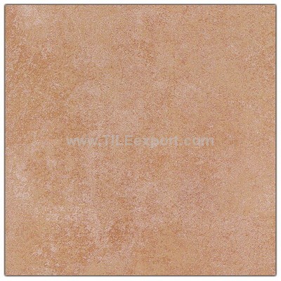 Floor_Tile--Porcelain_Tile,600X600mm[SS],66002